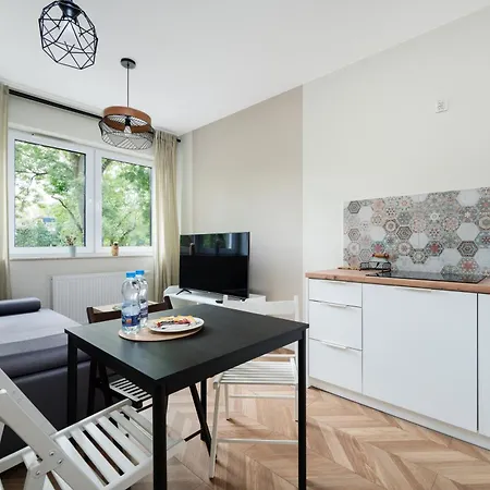 Apartment Pomorska Deluxe Lodz